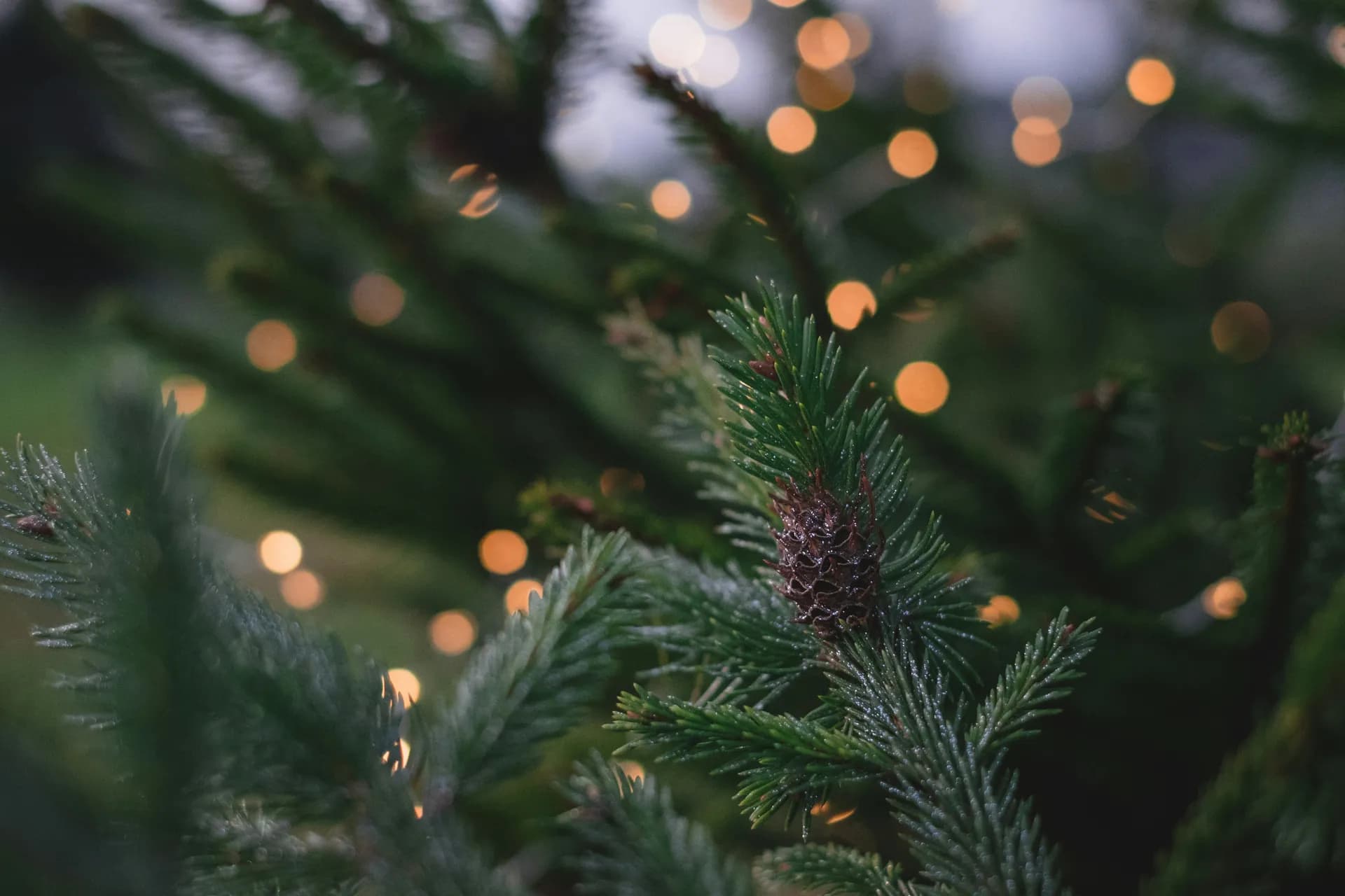 Christmas Tree 4K