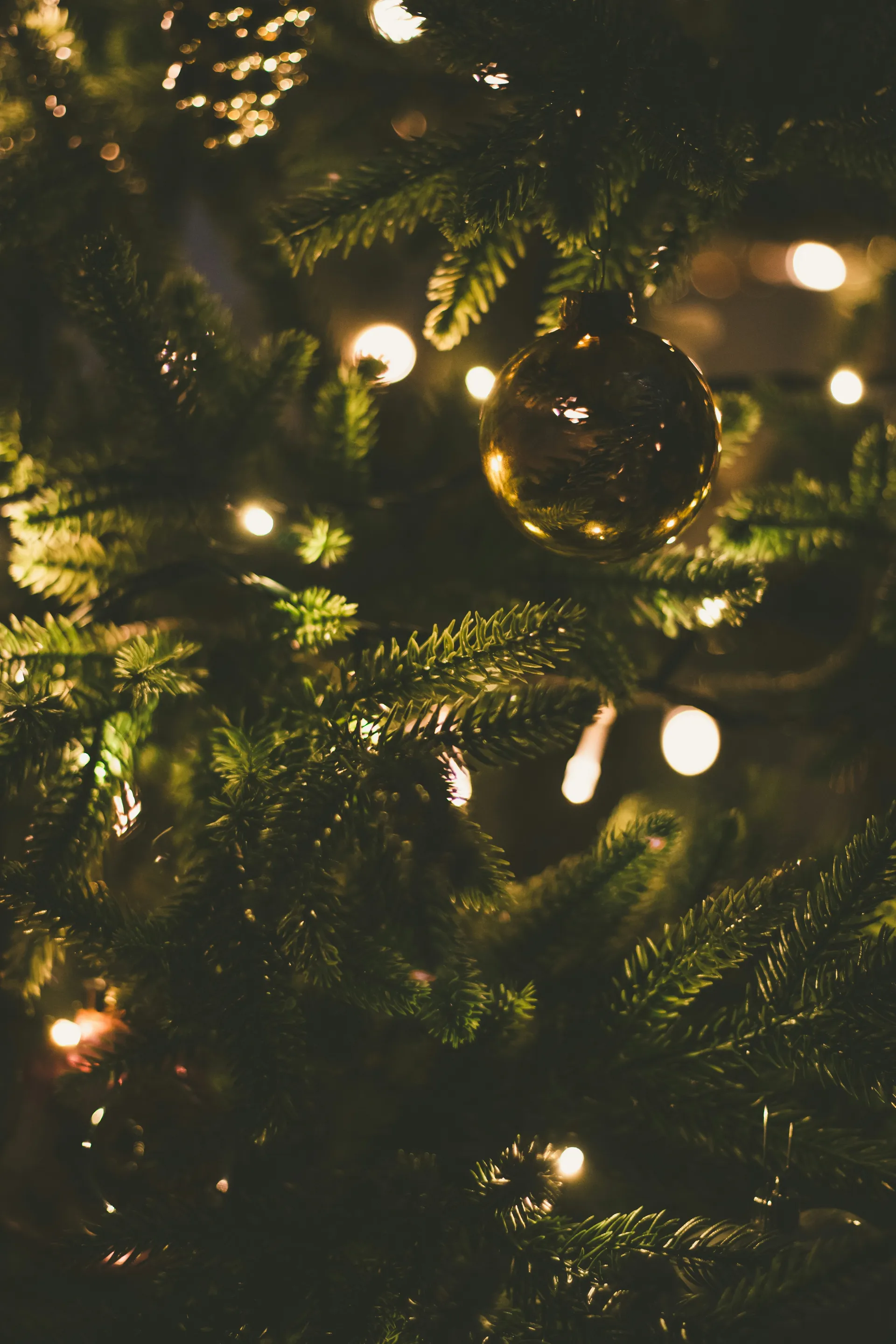 Christmas Tree Close Up