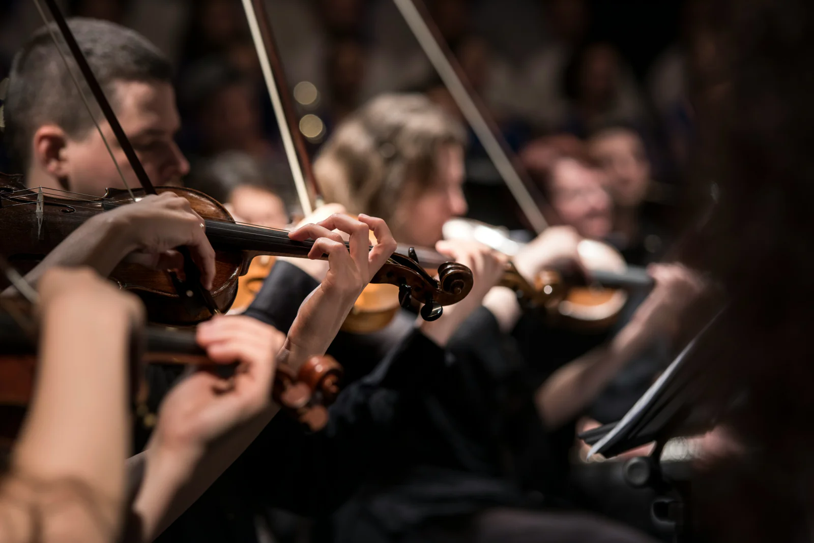 Violinists of an orchestra mid-performance under warm stage light